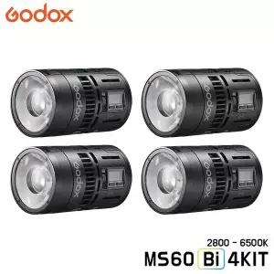GODOX 고독스 MS60Bi 4KIT / 4라이트 키트 바이컬러 2800-6500K 유튜브영상 지속광 개인방송