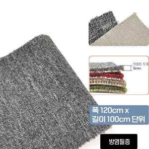 회사 학교 회의실 KC 방염 논슬립 그레이 롤카페트 베란다 인테리어 로비 DIY