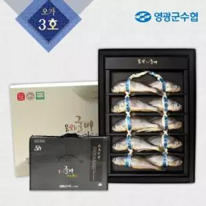 [영광군수협]몸愛좋은 영광굴비 오가 3호 1.2㎏(10미)+가방