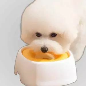 키밍 고양이 물그릇 반려동물 강아지 급수기 식기