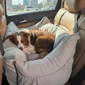 윈디웨이 카시트 강아지 고양이 프리미엄 차량용 이동 케이지 대형견
