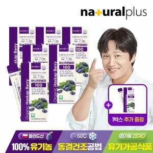 유기농 하스카프베리 100 동결건조 분말 14포 6박스 / 폴란드산