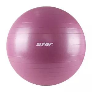 [하프클럽/스타스포츠]짐볼 안티버스트(EBF017) 65cm 바이올렛