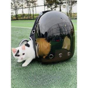 고양이 케 백팩 버전 가방 탄력있는 업그레이드 이동 케이스 업그레이드하여 사이드 블랙 유모차 그린 애완동물 완전투명 클리어