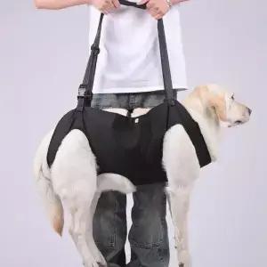 Elderly Dogs ble Dog Sling Lift Harness Backpack Carrier for Body Support Rehabilitation Padded