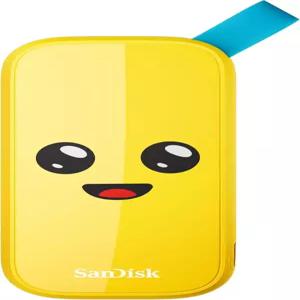 샌 TB 포트나이트 휴대용 SSD 페이리 에디션 최대 800MB/s USBC USB 32 2세대 낙하 방지 SDSSDE30T00G25F