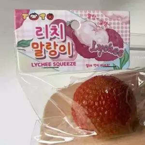 열대과일 리치 말랑이 스트레스장난감 어린이집장난감 촉감놀이