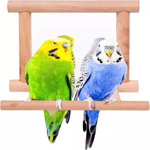 케이지용 블레스켈락스 버드 잉꼬 거울 패럿 농어 스탠드 우든 벌새 스윙 장난감 앵무새용 액세서리 코뉴어