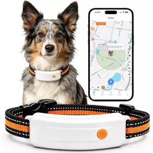 유메캠프 무선 반려견 울타리 시스템 중형 소형견을 위한 4G LTE GPS 목걸이 가상 있는 올인원 반려동물