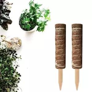 [콩심팥심]코코넛 야자 스틱 (식물 지주대) 코코봉 45cm