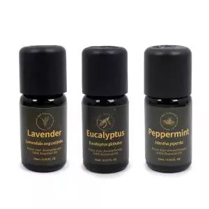 친절한탄씨 10ml 더허브샵 O and 3 에센셜오일 에센셜오일10ml O and 3오일 허브오일 오일인기 오일소품