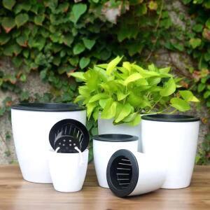 꽃  식물 수경 플라스틱 화분 자체 급수 물 문화  데스크탑 홈 Decorati