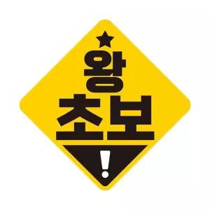 왕초보 QHS940R4 고휘도반사 자석 자동차스티커 19x19cm