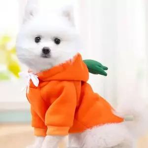 귀여운 강아지옷 고양이옷 애견옷 과일옷 당근 L