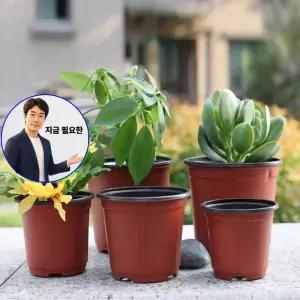 지금 필요한 바른자세 각도조절 목대 목깁스 자세 초경량 목기