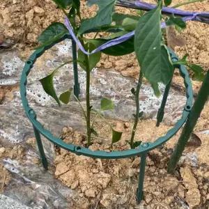 둥근 조립형 화분 식물지지대 15cm 4P 식물지지대