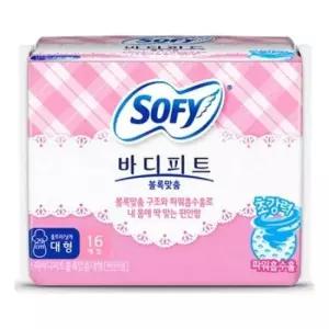 날개형생리대 바디피트 볼록 맞춤 대형 (행사상품) 16P