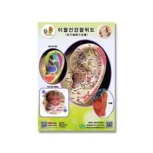 한방 한글궤도 이혈도 이혈건강혈위도 요법 귀혈자리 교육용 강사용  [mC698D