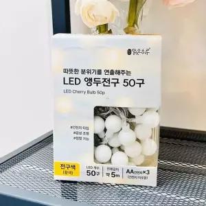 [골드스마일]맑은하루 LED 앵두전구 50구 5m