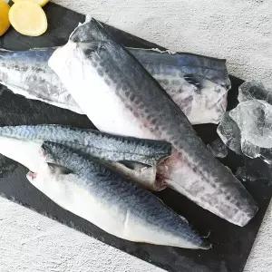 [친환경팔도][산지직송] 제주 간편 손질 삼치+고등어살(대)