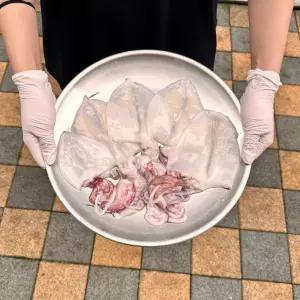 신선 쫄깃한 급냉 손질 한치 제주도 한치