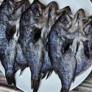 (올핀)반건조 손질 우럭 6미 냉동 찌개 구이용 생선