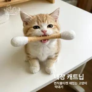 고양이 장난감 순모 캣닢 면봉 치아세정 혼자놀기 내구성