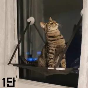 고품질 TBZ JT 뚜또가또 고양이 윈도우 튼튼 해먹 1단 고양이놀이용...