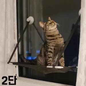 고품질 TBZ JT 뚜또가또 고양이 윈도우 튼튼 해먹 2단 튼튼해먹 고...