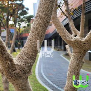 녹화마대 주트테이프 수목이식시 뿌리감싸기 수목보온 나무월동 나무보온 녹화테이프 주트마대 황마롤 월동