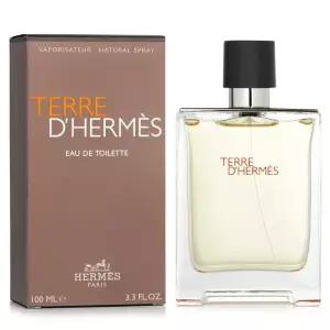 에르메스 떼르 데르메스 EDT 100ml