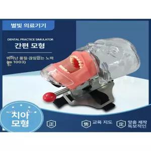 덴티폼 치아 모델 모형 국가고시 실기 치위생과 연습 교정 구강 믹 교육용 임플란트