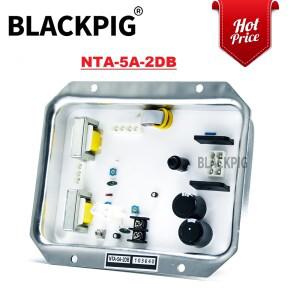 호환 가능 NTA-5E-2T NTA-5A-2DB Denyo 발전기 용 AVR 자동 전압 조정기 안정기 모듈 발전기 부품