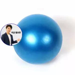 지금 필요한 간편한운동 홈트용 웨이트볼 운동공 짐볼 짐볼헬스 미니 펌프세트
