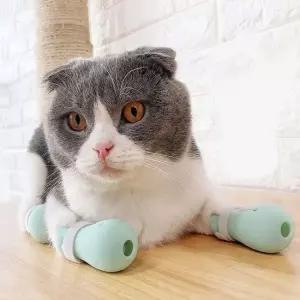 고양이 할큄 방지 실리콘 부츠 고양이할큄 애묘할큄