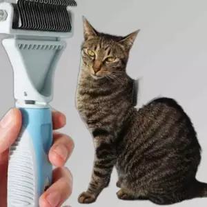 그루밍 브러쉬 죽은 털 제거 빗 고양이 냥이 강아지