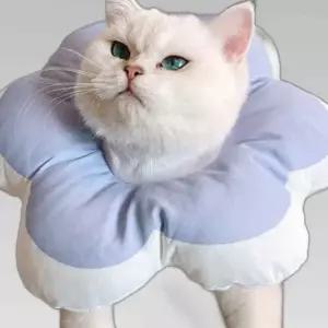 힐링타임 강아지 넥카라 애견 목보호대 깔대기 S