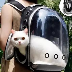 고양이 백팩 강아지 이동가방 외출용 반려동물 캐리어