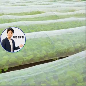 지금 필요한 물집방 실리콘 발가락보호 패드 미끄럼방 쪼리