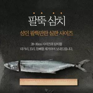 국내산 남해안 등푸른 삼치 팔뚝삼치 15필렛 20필렛 손질 생선 개별진공포장