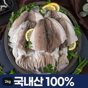 [NS홈쇼핑]국내산 손질 갑오징어 12~14마리 (총 2kg / 마리당 110~250g)[35989113]