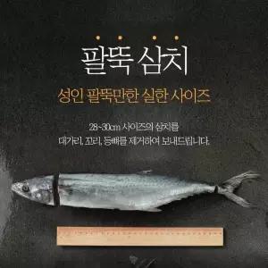 국내산 남해안 등푸른 삼치 팔뚝삼치 15필렛 손질생선