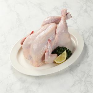 풀토래 냉장 통닭 1마리_국내산