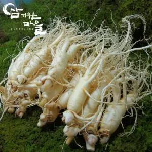 햇수삼 고려인삼 세척수삼 난발삼 원삼 홍삼제조용 삼계탕 가정용