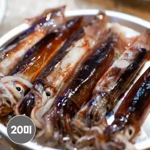 초코오징어 20미 동해안 선동 오징어 내장 총알 통찜 숙회 한치