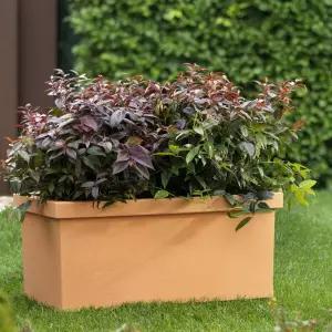 마이플랜트 니콜리 테미스 카세타 80호 이태리 가벼운 플라스틱 인테리어 대형 화분