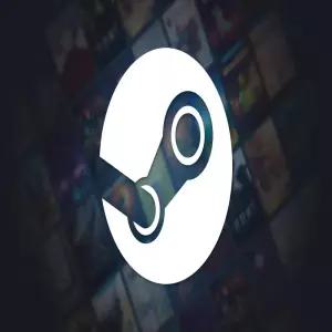 PC/스팀 월렛 기프트카드 인도 250 INR 루피 (코드발송)