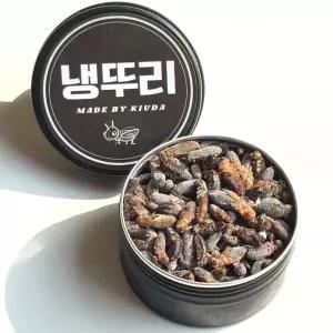 키우다 냉뚜리 냉동 귀뚜라미 중 40g 약 200마리 게코 먹이 10% 추가