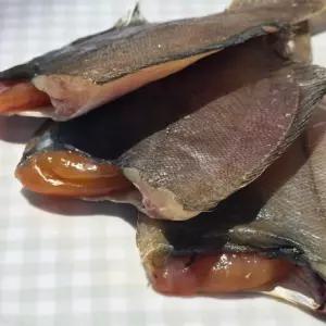 알가자미 10미