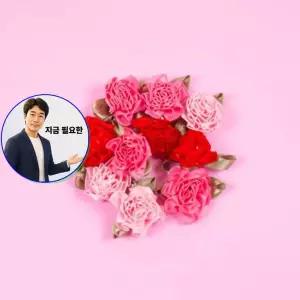 지금 필요한 만들기재료 혼합 10개세트 미니장식카네이션